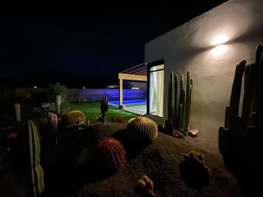 Bungalow + Piscina Independiente Ла-Олива Экстерьер фото